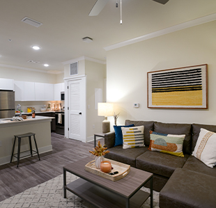 Stylishly Furnished Apartments - Image 02